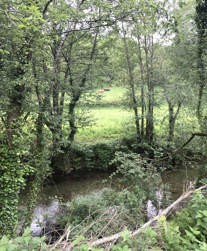 Río Sarria stroomt als een gezellige beek met ons mee
