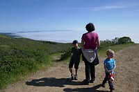 Dipsea8