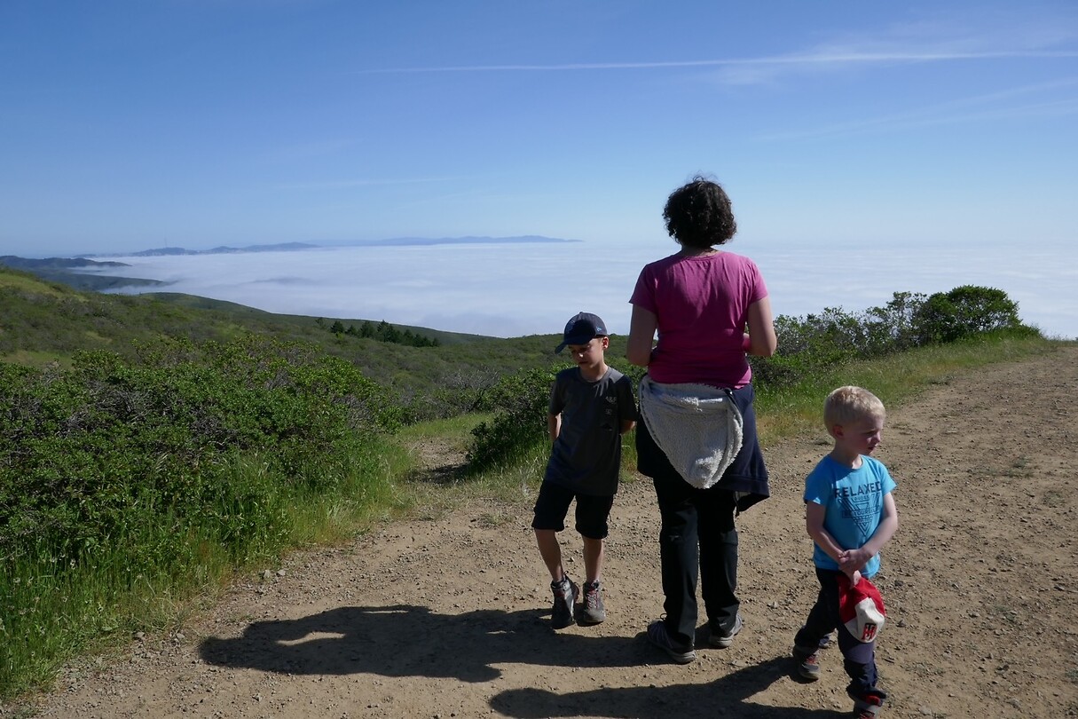 Dipsea8