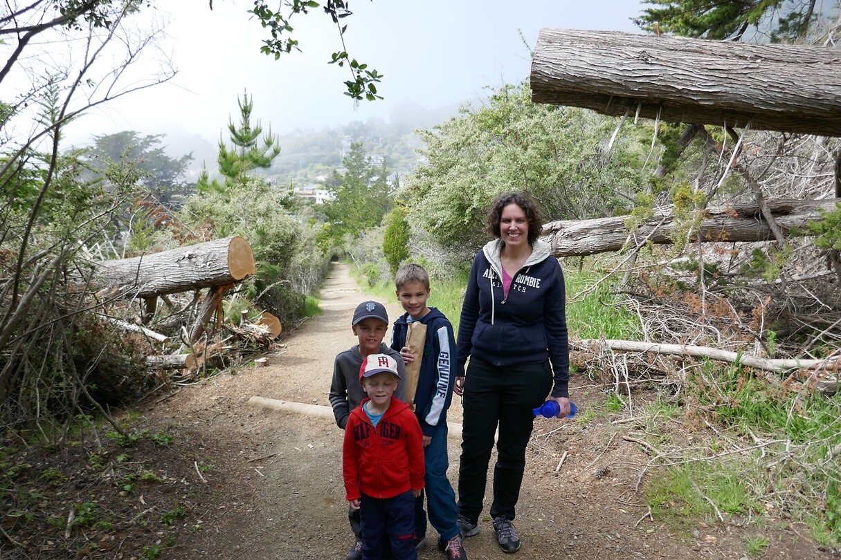 Dipsea3
