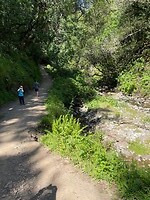 Dipsea2