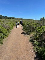 Dipsea1