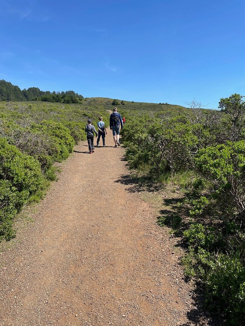 Dipsea1