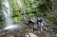 Akaroa - Newton's Waterfall2