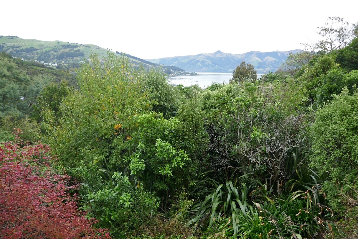 Akaroa - uitzicht