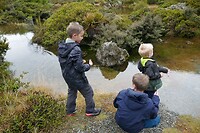 Aoraki - Red Tarns5