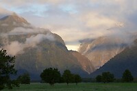 Fox Glacier