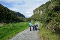 Pororari River Track1