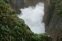 Punakaiki3