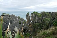 Punakaiki1