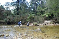 Abel Tasman8
