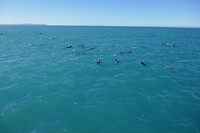 Kaikoura5