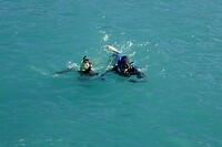 Kaikoura3