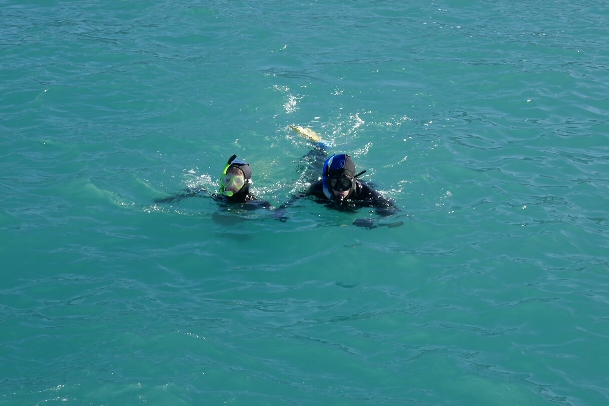 Kaikoura3