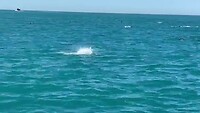 Kaikoura