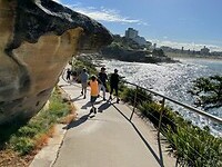 Sydney29