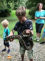 Python Noah Creek2