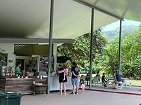 Daintree Ice Cream2