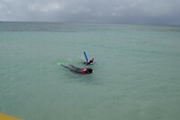Reef1