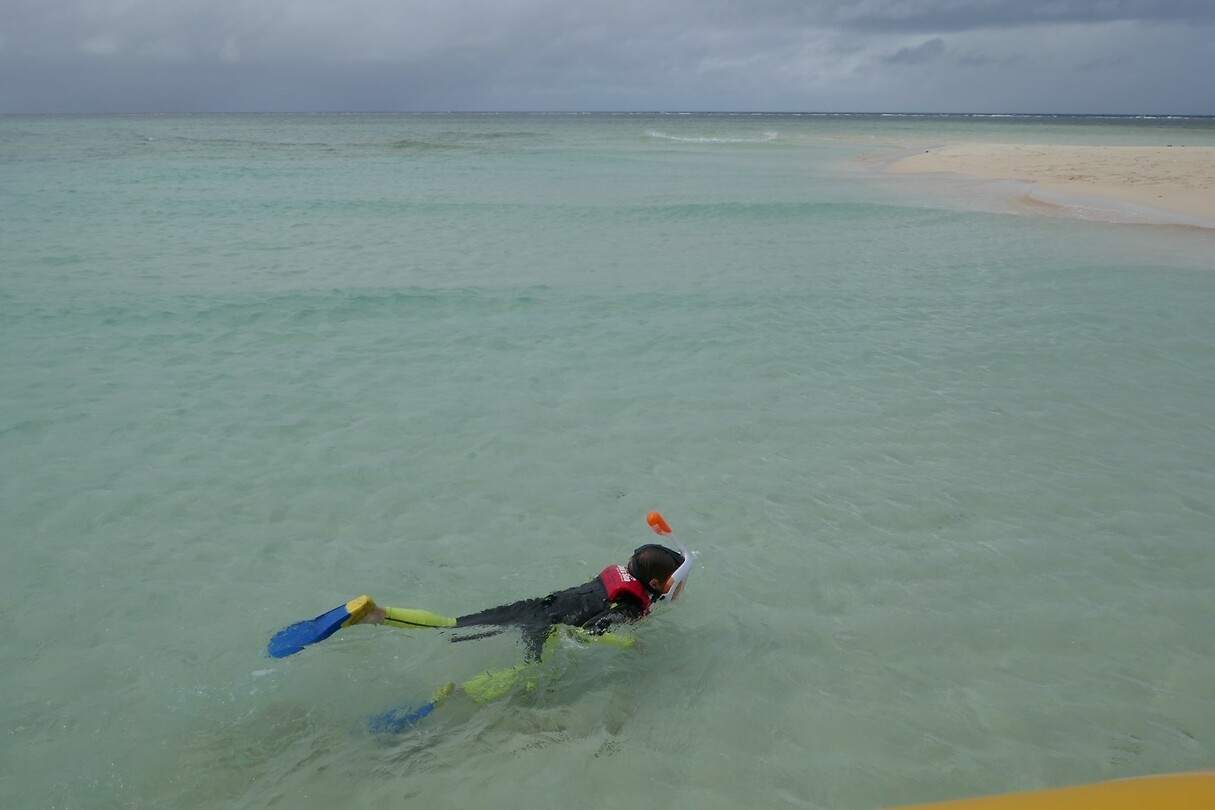 Reef2