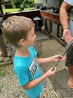 Python Noah Creek4
