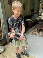Python Noah Creek5