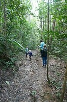 Creek Walk1
