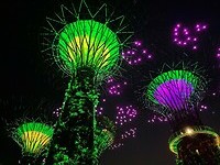Gardens by the Bay3