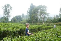 Gunung Mas3