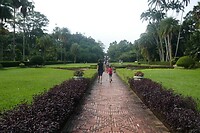Bogor