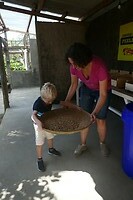 Kopi Luwak
