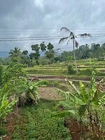 Trein Bandung-Banjar