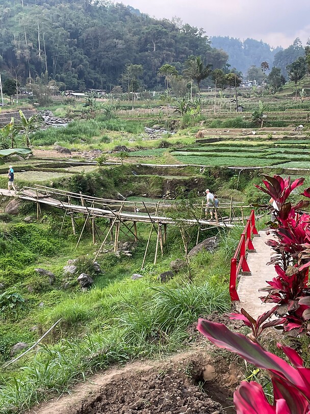 Sarangan7