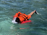 Menjangan Island6