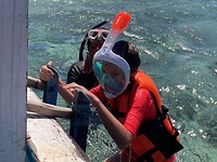 Menjangan Island5