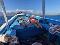 Menjangan Island4