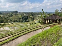 Jatiluwih1