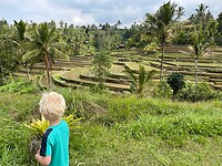 Jatiluwih2