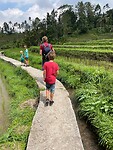 Jatiluwih4