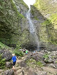 IMG_4542
