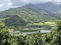 IMG_4623