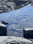 IMG_4794