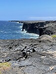 IMG_4864
