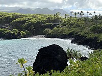 IMG_8514