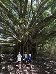 IMG_8477