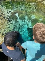 IMG_6070