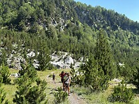 IMG_1169