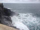 IMG_7145