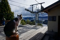 In de winter is Bariloche een skigebied