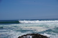Zoek de surfer!